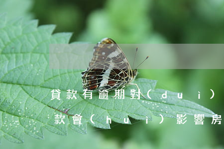 貸款有逾期對(duì)公職有影響(公職貸款會(huì)影響房貸)
