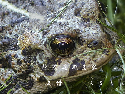貸款有逾期怎么說(shuō)明原因(逾期貸款情況說(shuō)明)