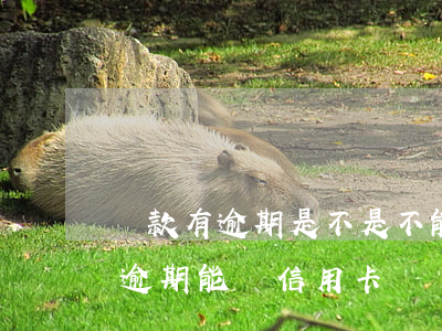 貸款有逾期是不是不能辦信用卡(銀行貸款有逾期能辦信用卡嗎)