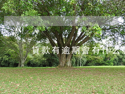貸款有逾期會有什么影響(逾期有哪些影響)