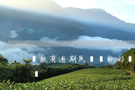 貸款有逾期民間貸款好貸(逾期也能下款的小貸)