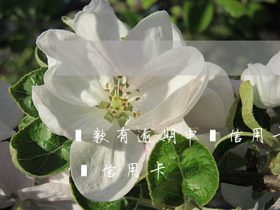 貸款有逾期申請信用卡（貸款逾期未申報怎么辦信用卡）
