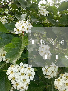 貸款有逾期能做動(dòng)車(chē)嗎(貸款逾期了可以坐飛機(jī)或者高鐵嗎)