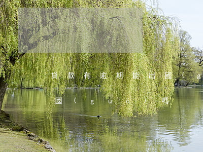 貸款有逾期能出國(guó)嗎(逾期可以出國(guó)嗎)