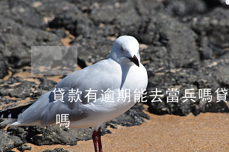 貸款有逾期能去當兵嗎 貸款有逾期可以當兵嗎