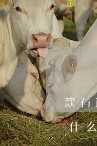貸款有逾期能辦理嗎(有過逾期但已還可以申請什么貸款)