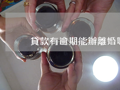 貸款有逾期能辦離婚嗎(離婚了還能辦貸款嗎)