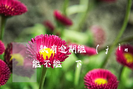 貸款有逾期能進(jìn)場嗎(有逾期貸款能不能貸下來)