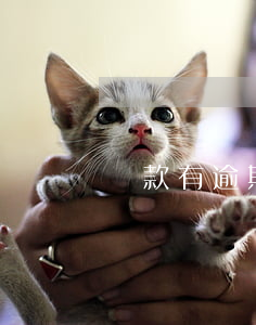 貸款有逾期能過政審嗎(征信有逾期政審能通過嗎)