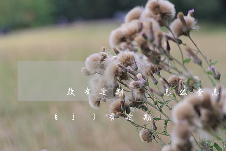 貸款有逾期記錄怎么查(怎么查房貸有沒(méi)有逾期記錄)
