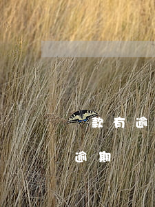 貸款有逾期記錄會(huì)怎么樣(貸款有逾期記錄會(huì)怎么樣)