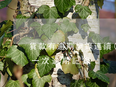 貸款有逾期記錄連續(xù)3次(貸款有過一次逾期記錄)