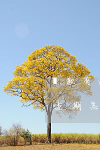貸款有逾期貸款買房(在銀行貸款買房子,如果逾期怎么辦)
