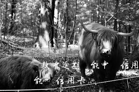 貸款有逾期過能申請信用卡嗎-貸款逾期還能辦信用卡嗎