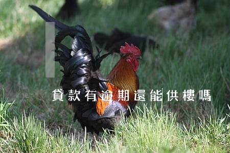 貸款有逾期還能供樓嗎