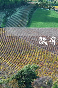 貸款有過(guò)逾期能做老師嗎