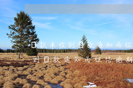 貸款未收到還款通知而征信逾期-貸款未收到還款通知而征信逾期怎么辦
