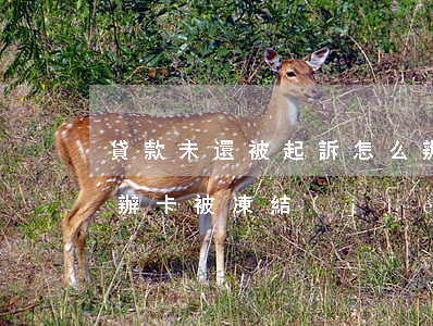 貸款未還被起訴怎么辦(貸款未還被起訴怎么辦卡被凍結(jié))