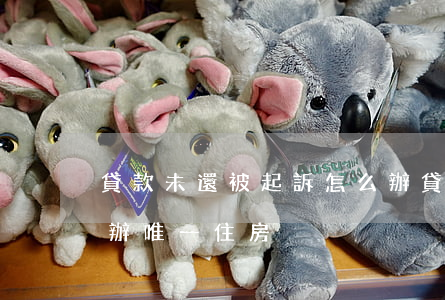 貸款未還被起訴怎么辦(貸款未還被起訴怎么辦 唯一住房)