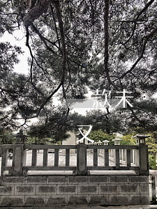 貸款未還逾期了怎么處理(貸款逾期了怎么辦又沒錢還)