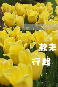 貸款未還遭銀行起訴如何解決(未還房貸被銀行起訴)