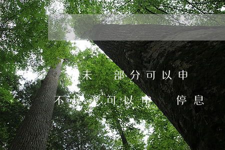 貸款未還部分可以申請為停息掛賬-貸款還不起了可以申請停息還本嗎