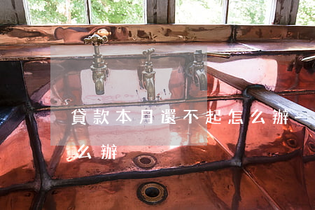 貸款本月還不起怎么辦-貸款本月還不起怎么辦