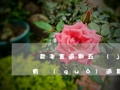 貸款本金逾期五級(jí)分類(lèi)(有過(guò)逾期但五級(jí)分類(lèi)顯示正常)