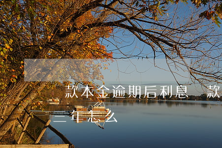 貸款本金逾期后利息(貸款本金已還,利息逾期三年,怎么辦)