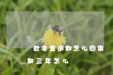 貸款本金逾期怎么回事(貸款本金已還,利息逾期三年,怎么辦)