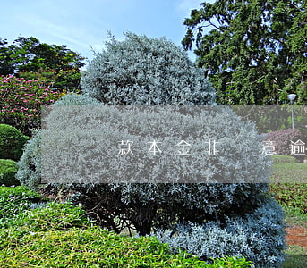 貸款本金非惡意逾期(貸款逾期違法嗎)