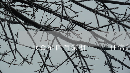 貸款查征信有逾期記錄嗎(征信怎么查逾期記錄)