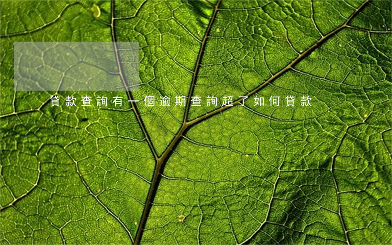 貸款查詢有一個逾期(查詢超了如何貸款)