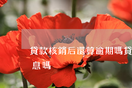 貸款核銷后還算逾期嗎(貸款被核銷后還會計息嗎)
