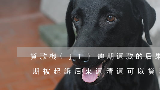 貸款機(jī)逾期還款的后果(銀行貸款逾期被起訴后來還清還可以貸款嗎)