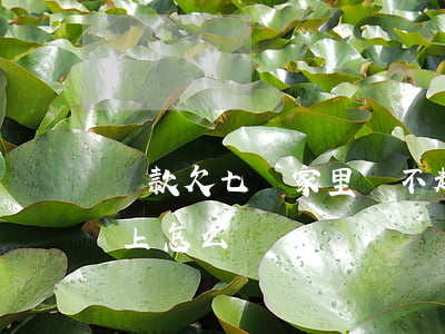 貸款欠七萬家里還不起(欠銀行貸款七萬還不上怎么辦)