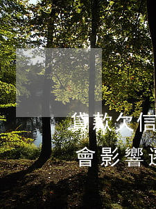 貸款欠信用卡逾期影響遷移戶口嗎(貸款逾期會影響遷戶口嗎)