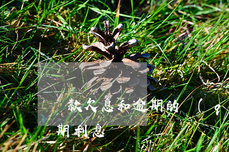 貸款欠息和逾期的區(qū)別6(利息和逾期利息)