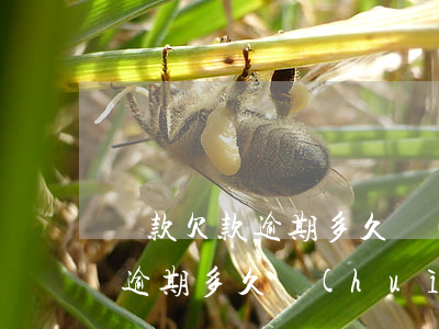 貸款欠款逾期多久會(huì)被起訴(貸款逾期多久會(huì)被法院起訴)