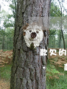 貸款欠的還不起法院起訴會(huì)怎么樣-貸款欠的還不起法院起訴會(huì)怎么樣呢