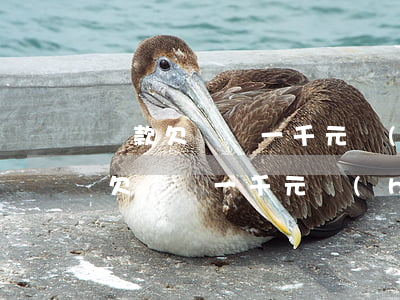 貸款欠還唄一千元會(huì)怎么樣(貸款欠還唄一千元會(huì)怎么樣)