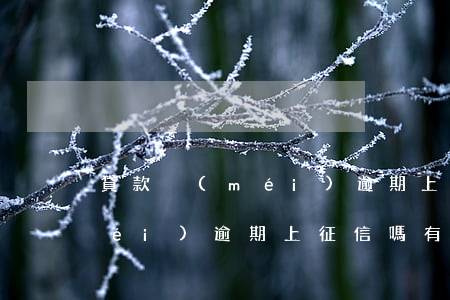 貸款沒(méi)逾期上征信嗎 貸款沒(méi)逾期上征信嗎有影響嗎