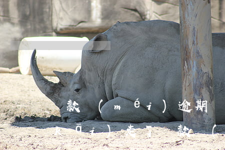 貸款沒(méi)逾期車(chē)被開(kāi)走了(貸款買(mǎi)車(chē)逾期了車(chē)被開(kāi)走了)