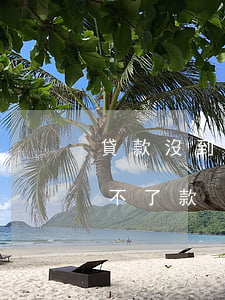 貸款沒到時間說我逾期(為什么我沒有逾期貸不了款)
