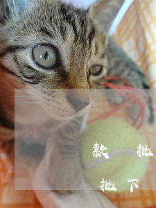 貸款沒批下來當(dāng)月逾期了(貸款沒批下來當(dāng)月逾期了)