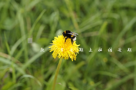 貸款沒有逾期上征信(逾期沒上征信算逾期嗎)