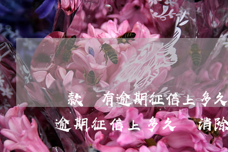 貸款沒有逾期征信上多久會消除-貸款沒有逾期征信上多久會消除記錄