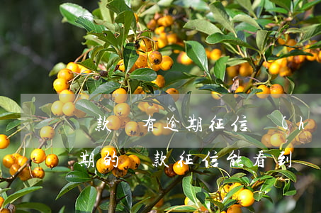 貸款沒有逾期征信會(huì)顯示嗎(沒逾期的貸款征信能看到嗎)