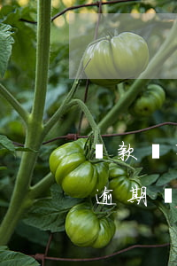 貸款沒有逾期會打電話給親屬嗎-貸款沒有逾期會打電話給親屬嗎?