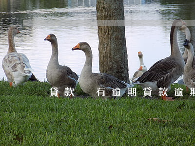 貸款沒有逾期（貸款逾期多久沒資格被起訴）